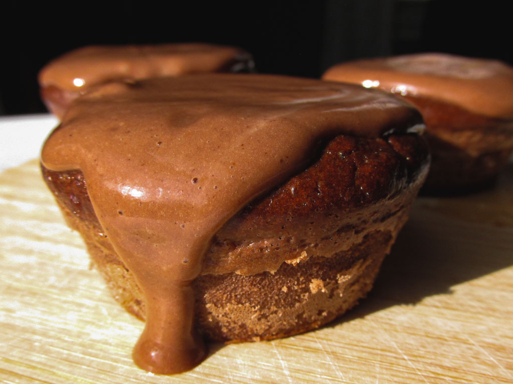 High Protein Pumpkin Chocolate Cupcakes